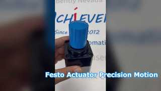 محرک خطی پنوماتیک Festo LRP-14-2,5