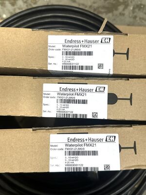 Endress Hauser MX21-21JM0/0 سوئیچ سطح ظرفیت دقیق برای کنترل فرآیند صنعتی