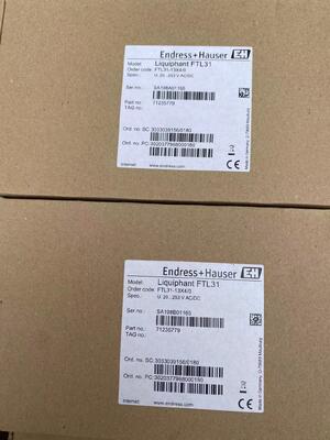 سوئیچ سطح چنگال تنظیم قابل اعتماد Endress Hauser FTL31-13X4/0
